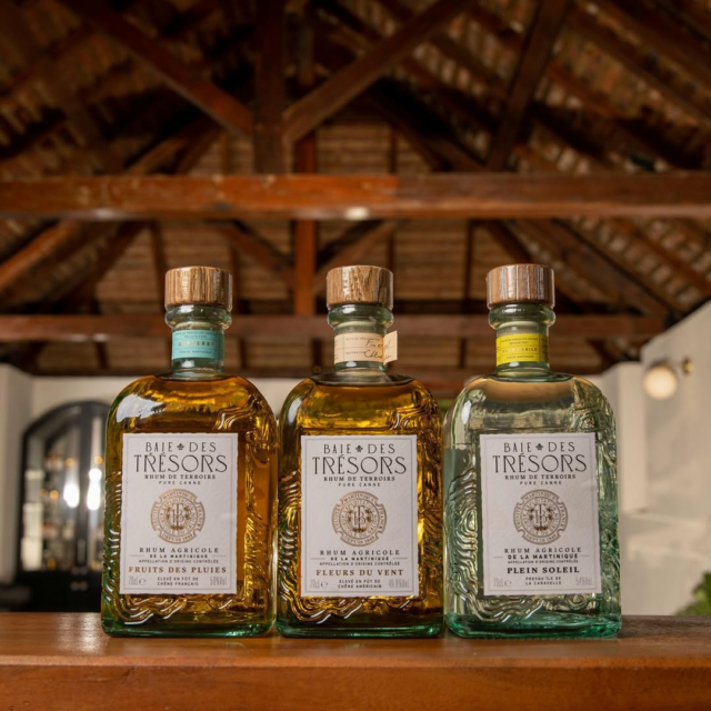 #𝗣𝗼𝗿𝘁𝗿𝗮𝗶𝘁 𝟭𝟲
🌴 Baie des Trésors : le rhum agricole à fleur de terroir

Sur la presqu’île de la Caravelle, en Martinique, la canne pousse entre vent et volcans.
Baie des Trésors en extrait un rhum agricole singulier, 100 % pur jus.

🌾 Canne monovariétale
🌋 Sols volcaniques
🌬️ Rhum agricole AOC Martinique, 100 % pur jus
→ Parcellaires, secs, élégants, sans artifice

Un travail de fond. Un rhum d’origine.

📍 À découvrir le 4 octobre au Salon du Spiritueux – Cholet

#baiedestrésors  #rhumagricole #martinique #rhumdeterroir #salonduspiritueux