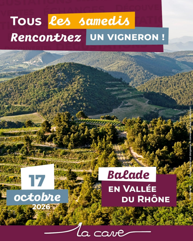 📅 𝗦𝗮𝗺𝗲𝗱𝗶 𝟭𝟳 𝗼𝗰𝘁𝗼𝗯𝗿𝗲 – Balade en Vallée du Rhône ☀️

Cette semaine, on vous emmène dans le Sud ! Cap sur 𝗹𝗮 𝗩𝗮𝗹𝗹𝗲𝗲 𝗱𝘂 𝗥𝗵𝗼𝗻𝗲 𝗺𝗲𝗿𝗶𝗱𝗶𝗼𝗻𝗮𝗹𝗲, terre de vins généreux, ensoleillés et pleins de caractère.

Découvrez des vins de 𝗚𝗿𝗲𝗻𝗮𝗰𝗵𝗲, de 𝗦𝘆𝗿𝗮𝗵 et de Mourvèdre au travers de quatre appellations emblématiques :
🍇 𝗖𝗵𝗮𝘁𝗲𝗮𝘂𝗻𝗲𝘂𝗳-𝗱𝘂-𝗣𝗮𝗽𝗲
🍇 𝗚𝗶𝗴𝗼𝗻𝗱𝗮𝘀
🍇 𝗩𝗮𝗰𝗾𝘂𝗲𝘆𝗿𝗮𝘀
🍇 𝗖𝗮𝗶𝗿𝗮𝗻𝗻𝗲

Des rouges chaleureux et des blancs aromatiques : il y en a pour toutes les envies ! 

🍷 Dégustation gratuite
📍 4 Rue Roger Hostein à Cholet
🕙 De 10h à 19h, en continu
🎁 𝟭𝟬 % 𝗱𝗲 𝗿𝗲𝗺𝗶𝘀𝗲 sur la gamme Vallée du Rhône présentée ce jour-là

Le Rhône méridional, c'est un peu de soleil dans le verre… et franchement, en plein mois d'octobre, ça ne se refuse pas ! 🍷☀️
